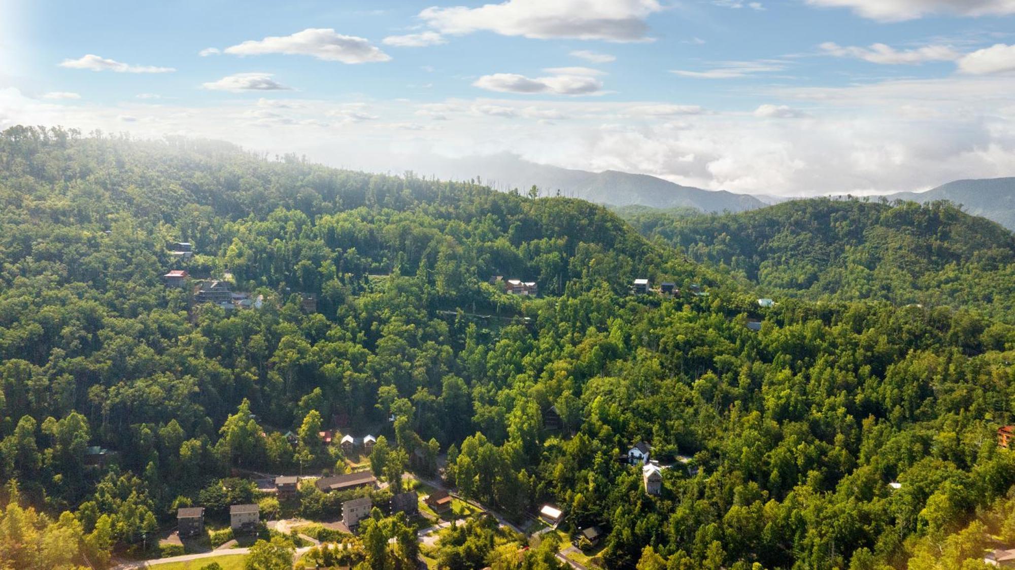Baloo'S Bungalow Gatlinburg Εξωτερικό φωτογραφία